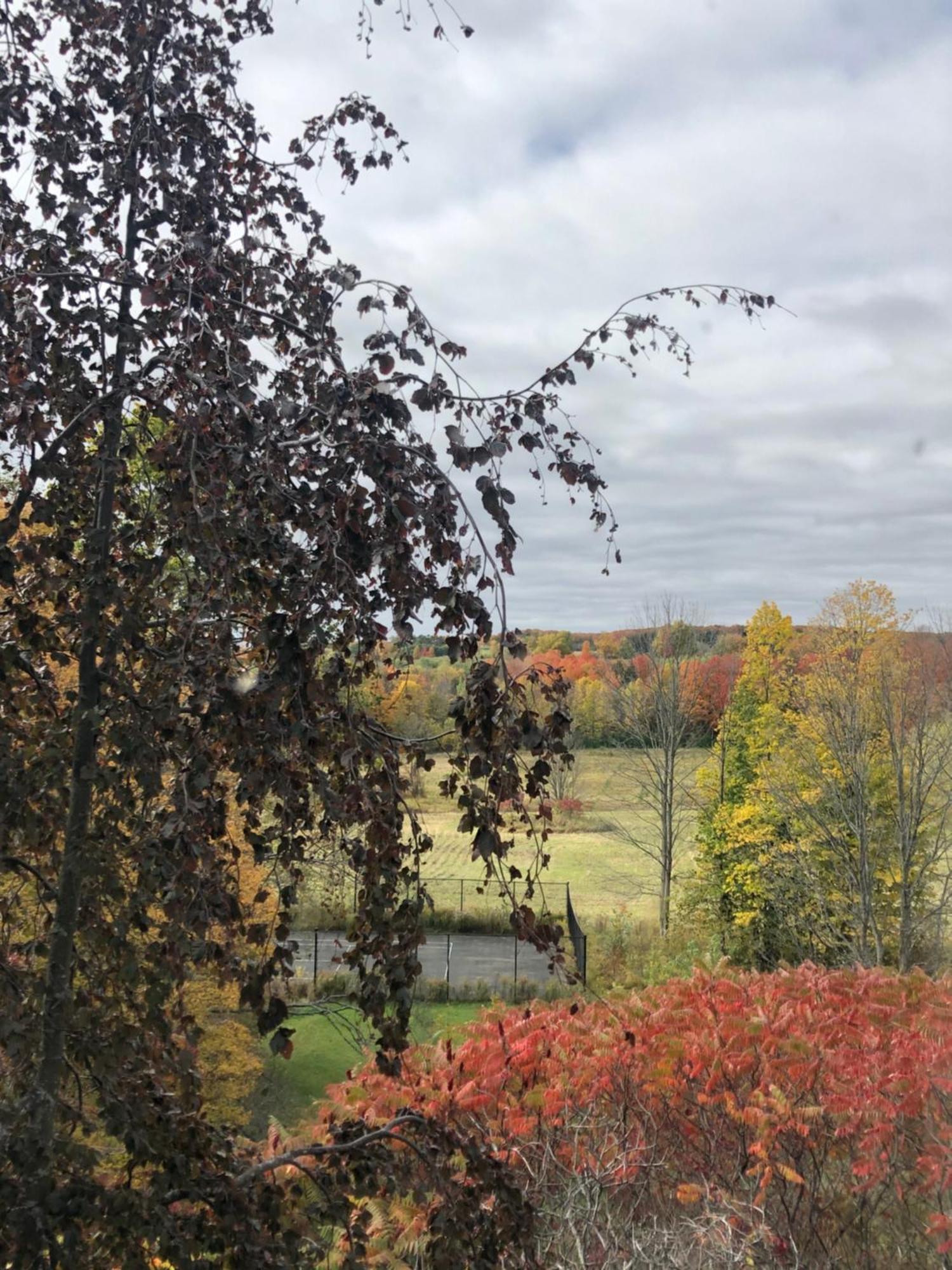 Caledon Manor And Country Inn 外观 照片